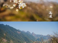 -广州市流溪河国家森林公园