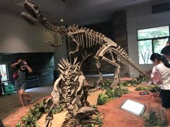 -自贡恐龙博物馆