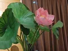 -云尊府云南菜·蒸汽石锅鱼(学清路店)