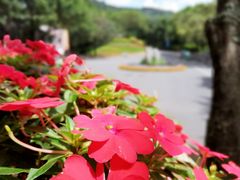 -广州市白云山风景名胜区