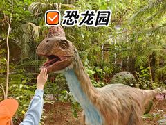 -呀路古热带植物园