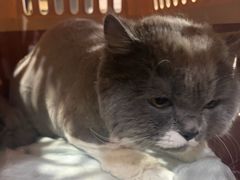 -久久宠物(河东万达店)