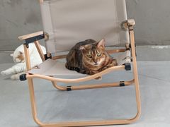 -Heymao猫咖.咖啡厅(东门店)