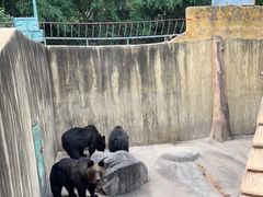 -东方熊牧场