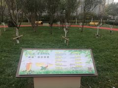 -和平区健康主题公园