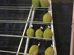 -都念榴莲·城市榴莲