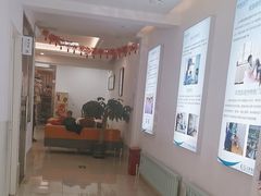 -北京观赏动物医院·24小时大型综合·猫专科·异宠专科