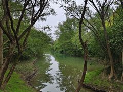 -西溪国家湿地公园