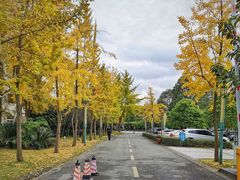 -西南交通大学(九里校区)