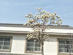-河北省园博园