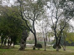 -汉水公园