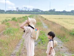 -上海长兴岛郊野公园