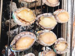 -吴淞炮台湾湿地森林公园烧烤区