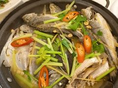 -日日香卤鹅饭店·澄海狮头鹅(澄海店)