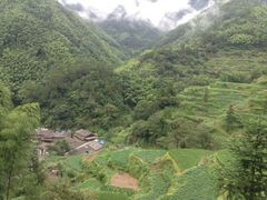 -林坑古村落