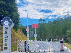 -黄埔油麻山森林公园