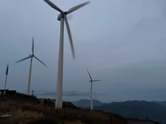 -东白山