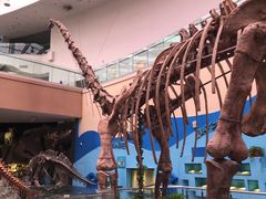 -陕西自然博物馆