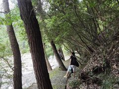 -鄣山大峡谷