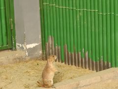 -杭州野生动物世界