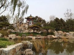 -武清南湖绿博园