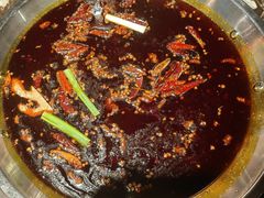 -宽田火锅 宽田有鱼江津青花椒鱼火锅(几江荣华店)