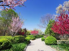 -春晖园度假酒店温泉