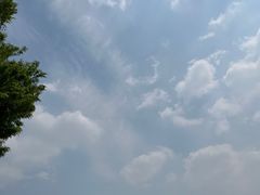 -羊山湖公园