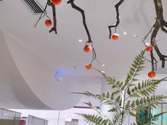 -九鼎轩火锅大排挡