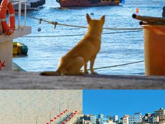 -东沙渔村