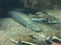 -太平洋海底世界