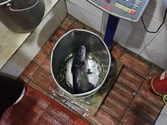 -亮欢寨酸汤鱼(沙冲路店)