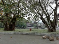 -国恩寺