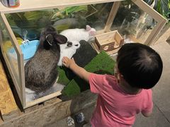 -昆明大悦城未来动物城(螺蛳湾中心店)