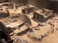 -洛阳周王城天子驾六博物馆