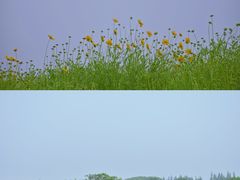 -良渚古城遗址公园