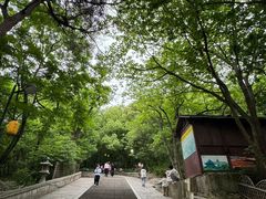 -灵岩山风景区