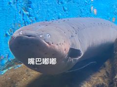 -厦门海底世界