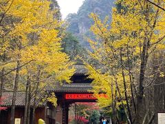 -刘伯温故里景区百丈漈