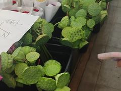 -循礼门鲜花花市(武汉循礼门店)