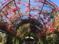 -The Grounds of Alexandria