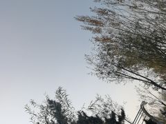-莫子山公园