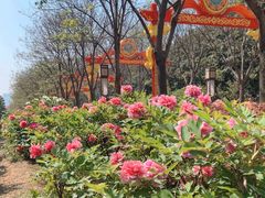 -洛阳市隋唐城遗址植物园
