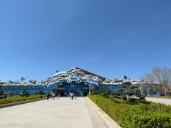 -石家庄极地海洋世界