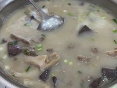 -胡世羊肉汤(南街店)