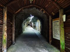 -遂昌金矿国家矿山公园