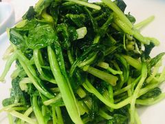 清炒鸡毛菜-皇家冰窖小院(什刹海店)