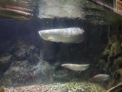 -左海海底世界