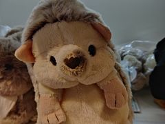 -blt精品超市(KKMALL京基店)