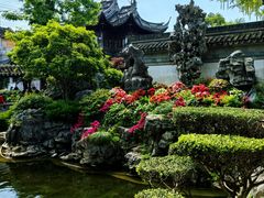 -豫园